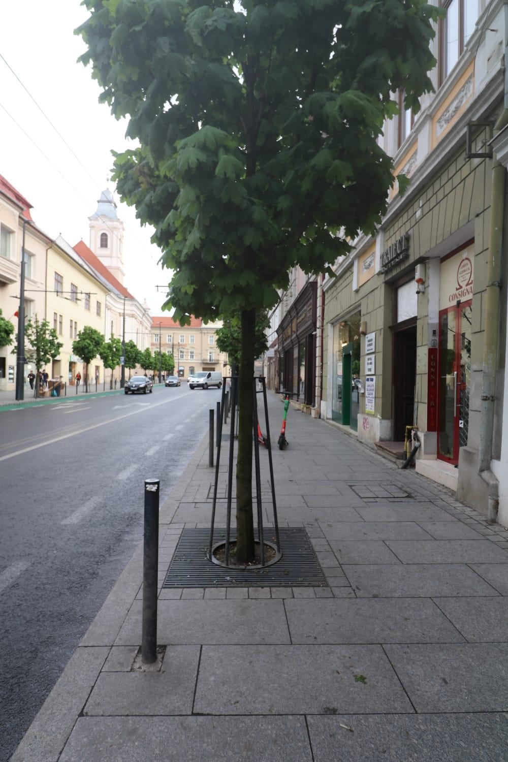 Cluj Downtown Accomodation Apartment Exterior photo